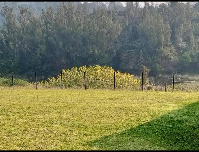 FARM FOR SALE IN LEISURE BAY